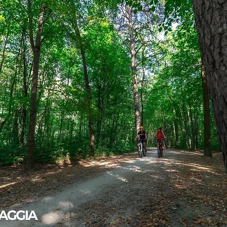 Center - Free Parking, Netflix And Wifi Lejlighed