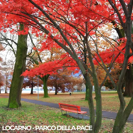 Lägenhet Center - Free Parking, Netflix And Wifi