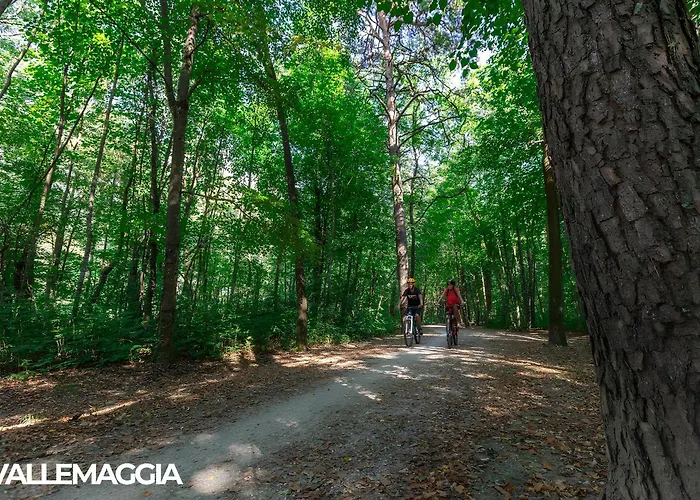 Center - Free Parking, Netflix And Wifi アパート