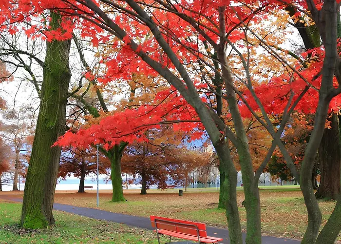 アパート Center - Free Parking, Netflix And Wifi